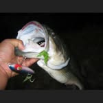 Dwayne Coursey - @fishingthe573 - Instagram