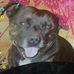 Dwayne Davidson - Facebook