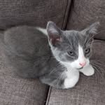 Dwayne Davidson - @peterthecat2021 - Instagram