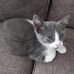 Dwayne Davidson - Facebook