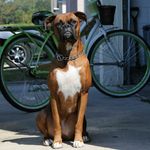 Dwayne Dawson - @dblock502 - Instagram