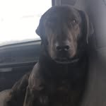 Dwayne - @dwayne.decker.50 - Instagram