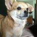 Dwayne Dever - Facebook