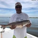 Dwayne Dillon - @performanceconcreteinc - Instagram