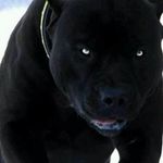 Dwayne Dillon - @dwaynedillon15 - Instagram