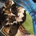 Dwayne Doolittle - Facebook