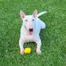 Duane Farmer - Facebook