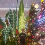Glenn Dwayne Acayen - @glenndwayneacayen - Instagram