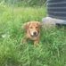Dianne Heeralal - Facebook