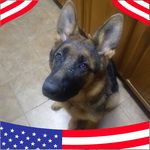 Dwayne Hollis - @dwayne.hollis.7 - Instagram