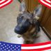 Dwayne Hollis - Facebook