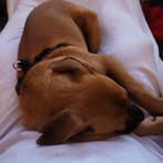 Dwayne Hood - Facebook