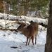 Dwayne Humphrey - Facebook