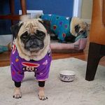@dwayne_jimenez - Instagram