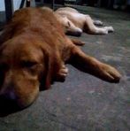 Dwayne Jimenez - Facebook