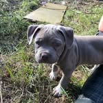 Dwayne Kelly - @dwaynekelly11 - Instagram