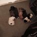 Dwayne Kimble - Facebook