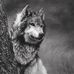 Dewayne Kiser - Facebook