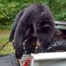 Dewayne Knapp - Facebook