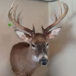 Duane Knapp - @duaneknapp16 - Instagram