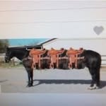 Dwayne Koch - @dwaynekoch61 - Instagram