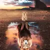 Rahul_Verma - @ddwayne_koch8271 - TikTok
