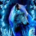 Dwayne Krohn - Facebook