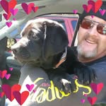Dwayne Lane - @bigbird61238 - Instagram