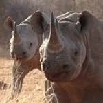 Dwayne Lange - @dwaynedelange55 - Instagram