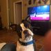 Dwayne Langos - Facebook