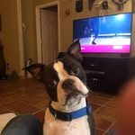 Dwayne Langos - @dwaynelangos - Instagram