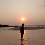 reeds - @dwaynelanghae - Instagram