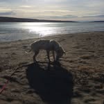 Dwayne Law - @law.dwayne - Instagram