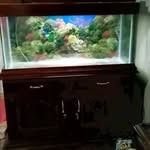 Dwayne Lawson - @dwayne.lawson.904 - Instagram