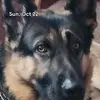 Dwayne E Lawson - @dwayne.e.lawson - TikTok