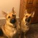 Duane LeGrand - Facebook