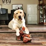 Dwayne Lindsey - @dadawgdallas2017 - Instagram