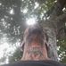 Dwayne Lloyd - Facebook