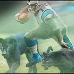 Dwayne Marsh - @dwayne.marsh50 - Instagram
