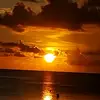 Dwayne Mccalla - @dwayne.mccalla31 - TikTok