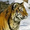 Dwayne Metz - @dwayne.metz - TikTok