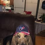 Dwayne Morrison - @dwayne.morrison.102 - Instagram