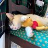 dwayneolson - @dwayneolson - TikTok