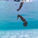 Dwayne Overton - @dwayneoverton5 - Instagram