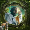 dwayneparks338 - @dwayneparks338 - TikTok