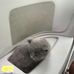 Dwayne Perry - Facebook