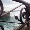 dwaynepeterson3 - @dwayne.peterson3 - TikTok