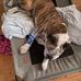 Dwayne Quimby - Facebook
