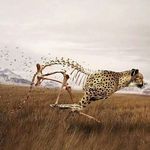 Dwayne ralph - @_dwayne_ralph_ - Instagram