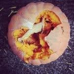 Duane Ressler - @duaneressler - Instagram